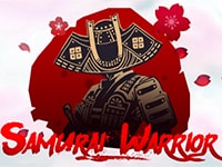 Samurai Warrior