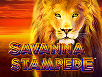 Savanna Stampede