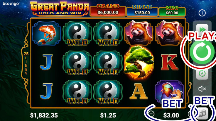 How to Play2