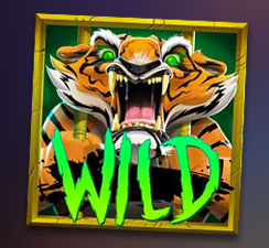 Payout Lines2