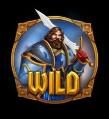 Wild Symbols