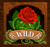 WILD図柄