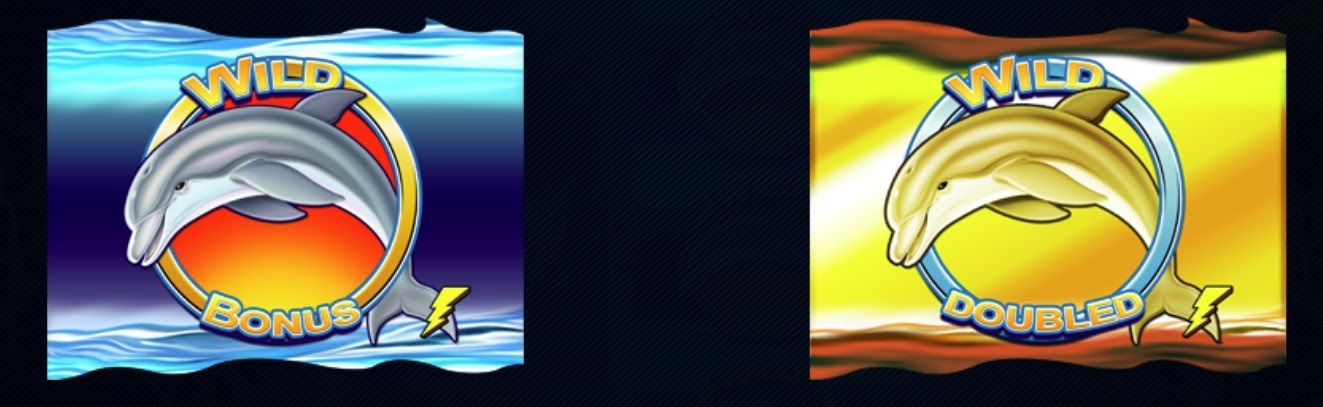 Payout Lines2