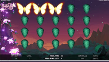 Butterfly Spin2