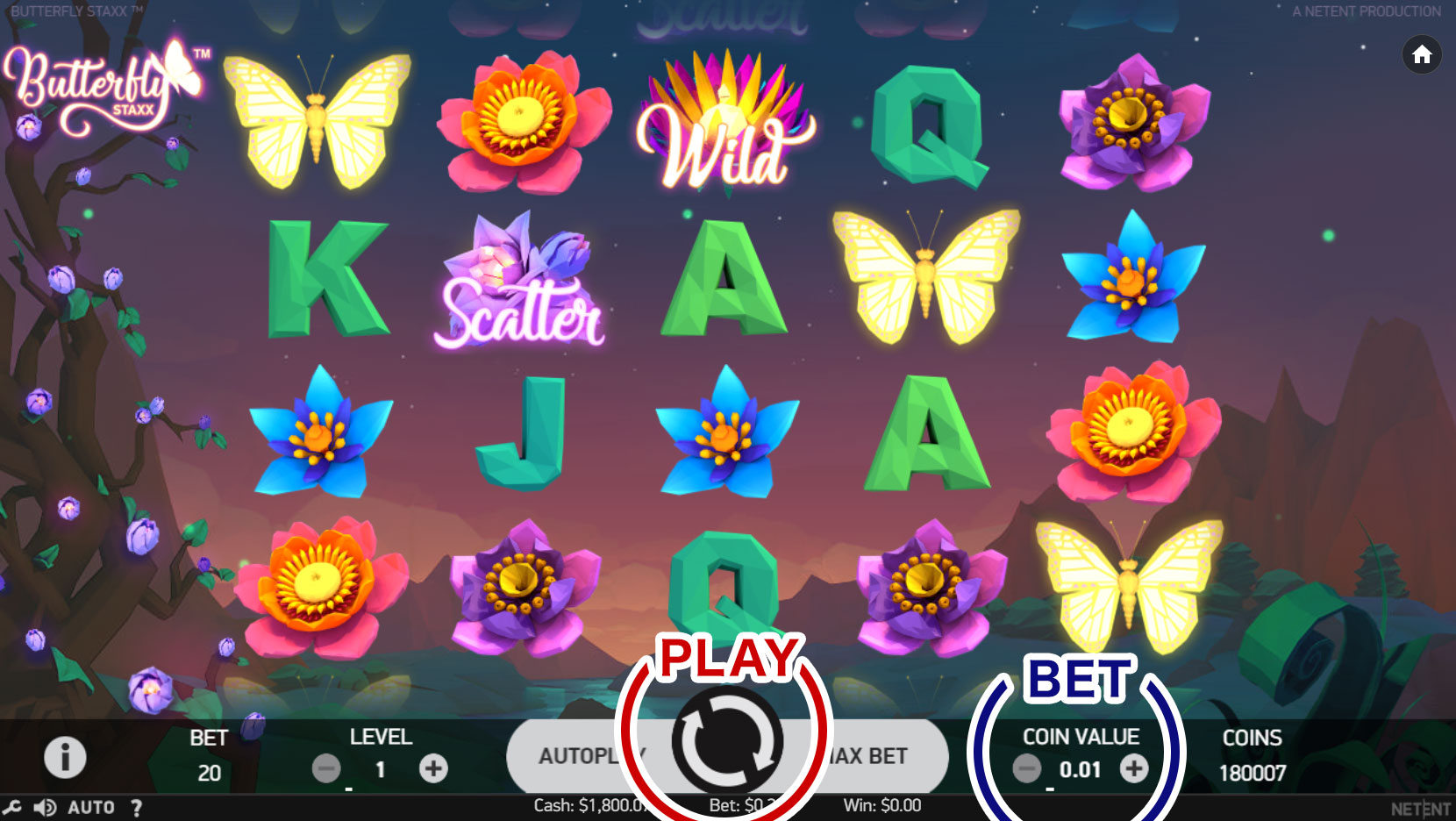 How to Play
