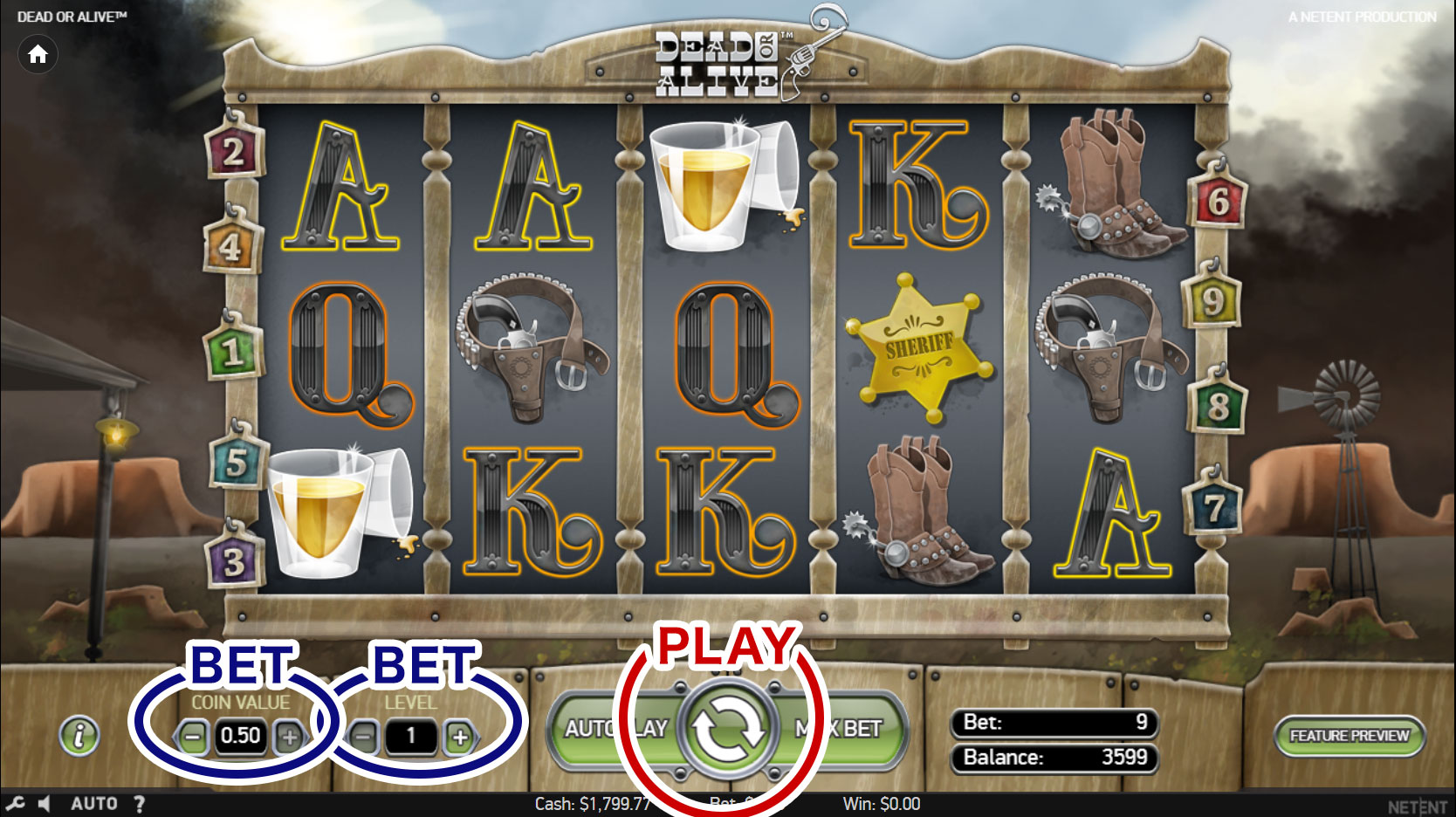 How to Play