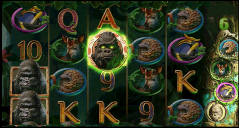 Symbol Transform