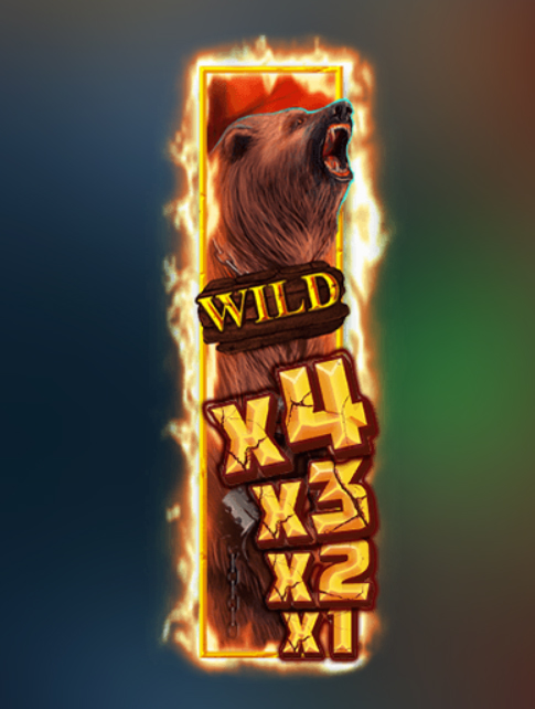Wild Symbol