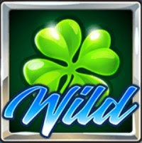 Wild Symbol