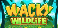 WACKY WILDLIFE Slot