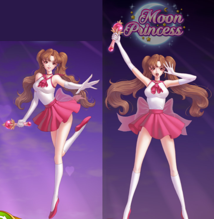 プリンセスの特徴