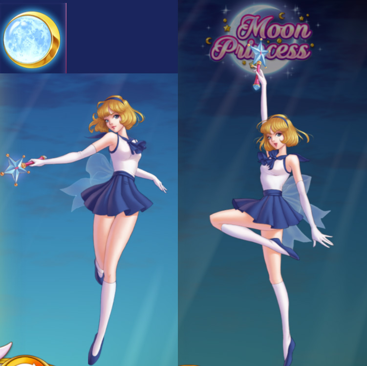 プリンセスの特徴2