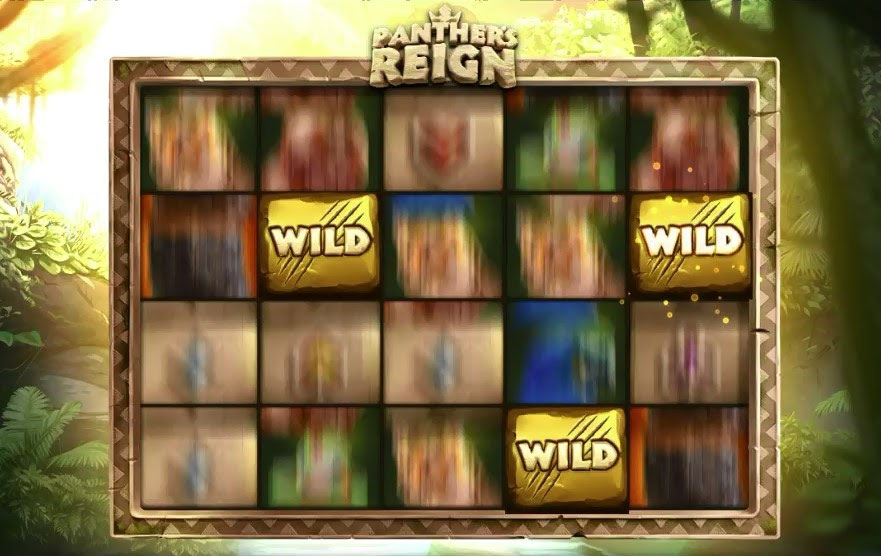 Wild Spray Feature