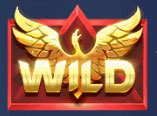 Wild Symbol