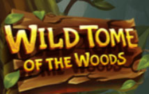 WILD TOME OF THE WOODS Slot