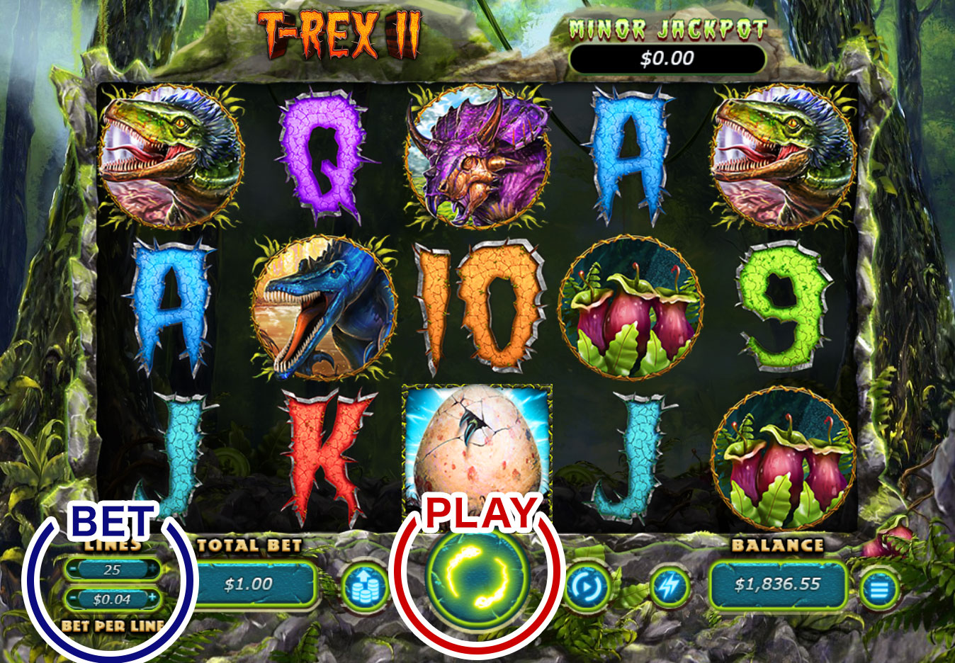 How to Play