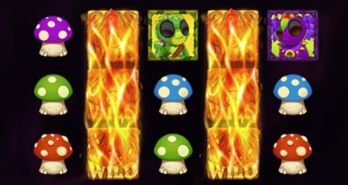 Combo Wild3