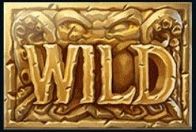 Wild Symbol