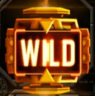 Wild Symbol