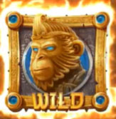 Wild Symbols