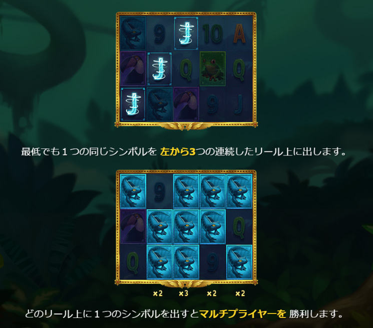 配当ライン