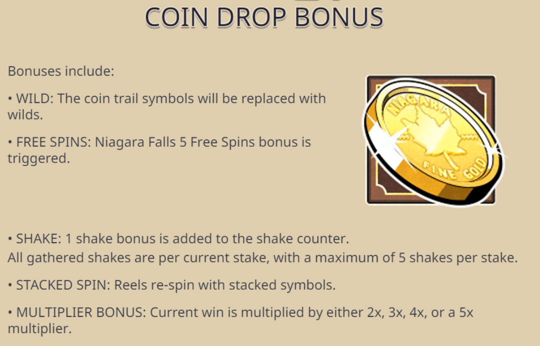 Coin Drop Bonus2