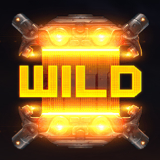 Wild Symbol